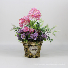 Romantic pastoral floral pink colourful flower pot plants